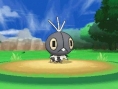 Pokémon X et Y : images et vidéo