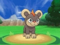 Pokémon X et Y : images et vidéo