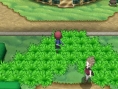 Pokémon X et Y : suivez le N-Direct à 13h