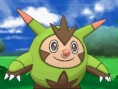 Pokémon X et Y : le plein d'images