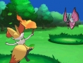 Pokémon X et Y : le plein d'images