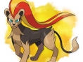 Pokémon X et Y : le plein d'images