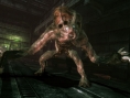 Resident Evil Reboot reste une possibilité