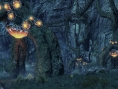 Xenoblade Chronicles X : images et vidéos