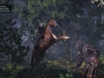 Premières images de The Witcher 3 : Wild Hunt !