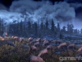 Screens The Witcher 3 : Wild Hunt