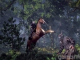 The Witcher 3 : de nouvelles informations