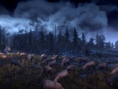 Screens The Witcher 3 : Wild Hunt
