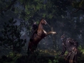 Screens The Witcher 3 : Wild Hunt