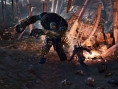 The Witcher 3 : le multijoueurs abandonné