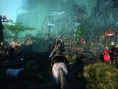 Screens The Witcher 3 : Wild Hunt