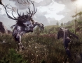 The Witcher 3 se montre un peu plus