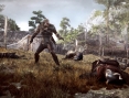 The Witcher 3 se montre un peu plus