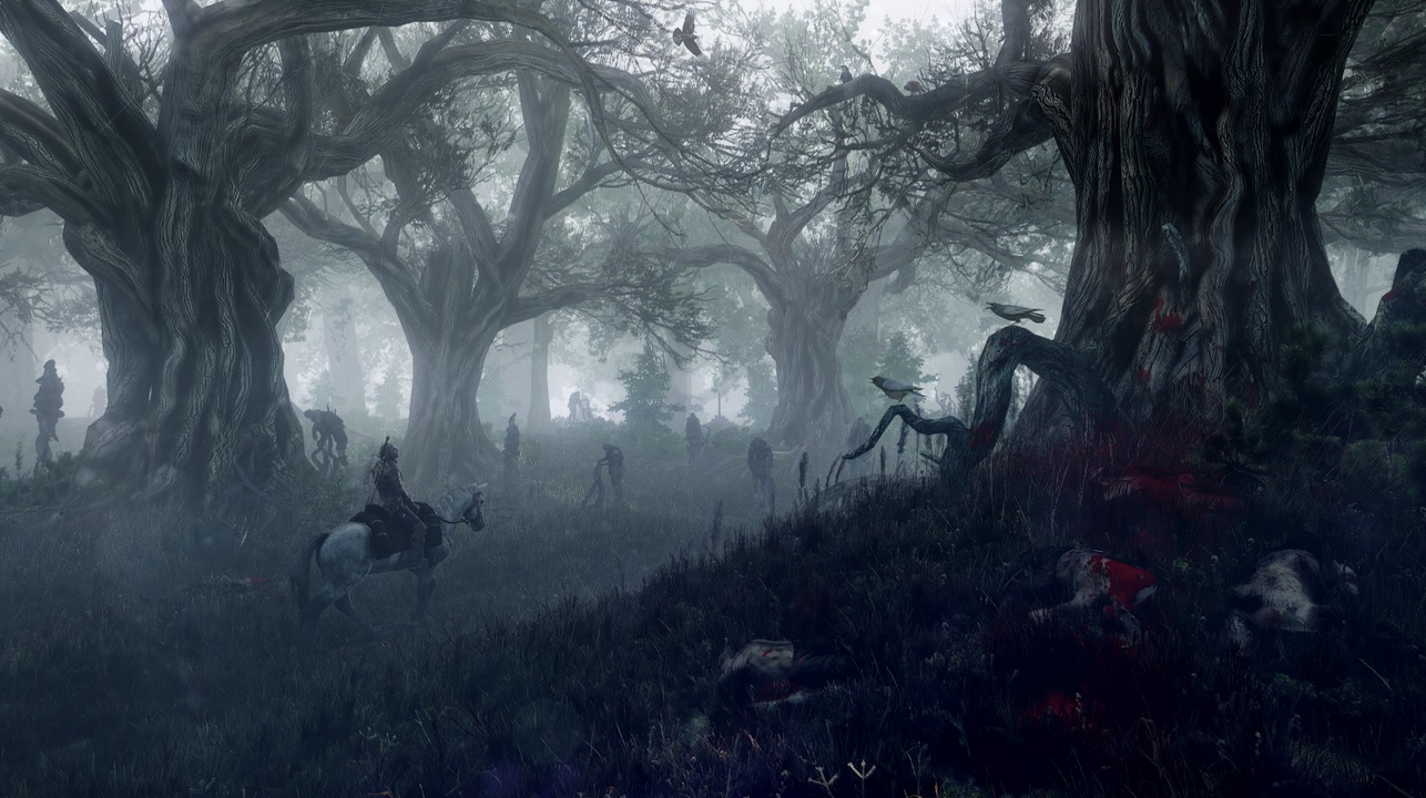 The Witcher 3 se montre un peu plus