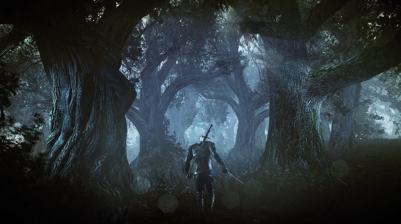 The Witcher 3 se montre un peu plus