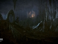Screens The Witcher 3 : Wild Hunt
