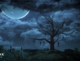 Screens The Witcher 3 : Wild Hunt