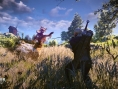 Screens The Witcher 3 : Wild Hunt