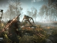 Screens The Witcher 3 : Wild Hunt