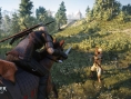 Screens The Witcher 3 : Wild Hunt