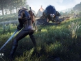 Screens The Witcher 3 : Wild Hunt