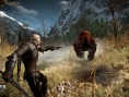 Screens The Witcher 3 : Wild Hunt