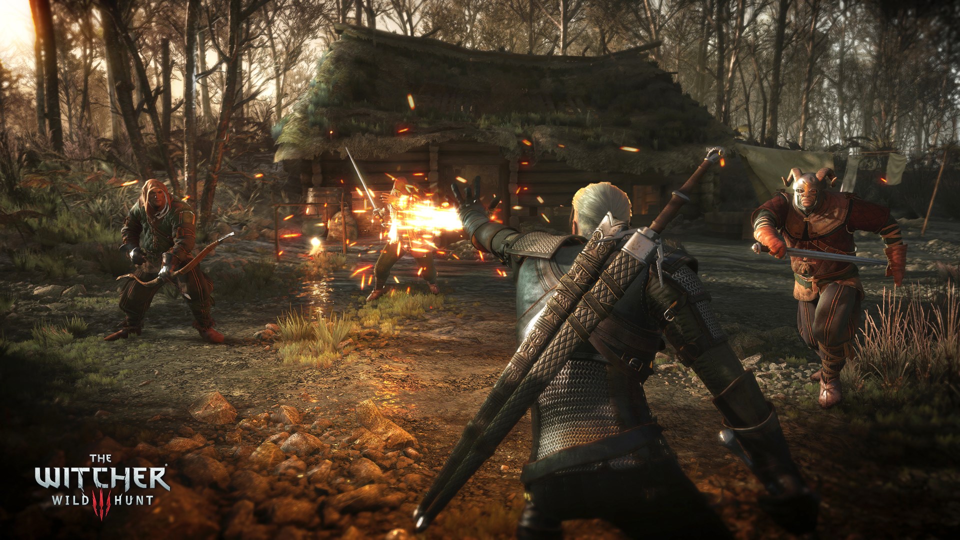 Video The Witcher 3 : Wild Hunt