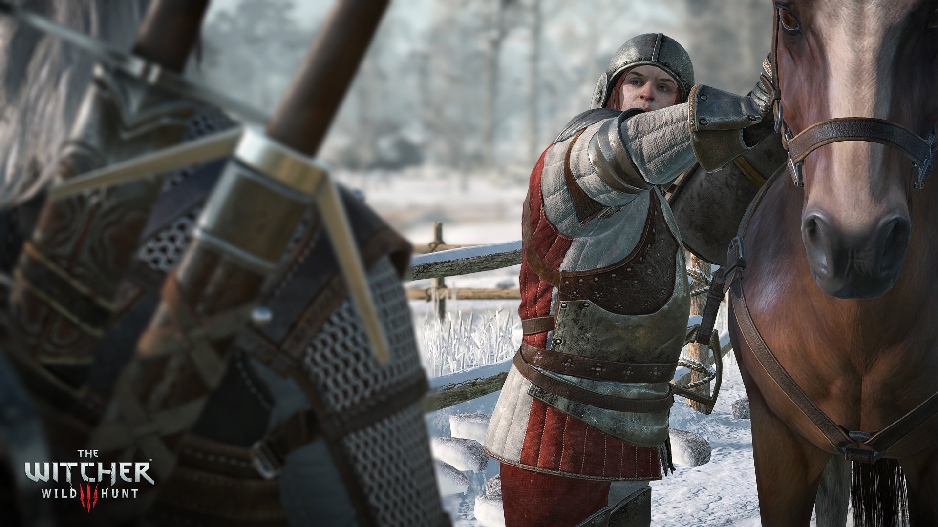 DLC The Witcher 3 : oui, c'est gratuit !