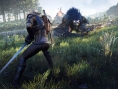 The Witcher 3 : encore des images