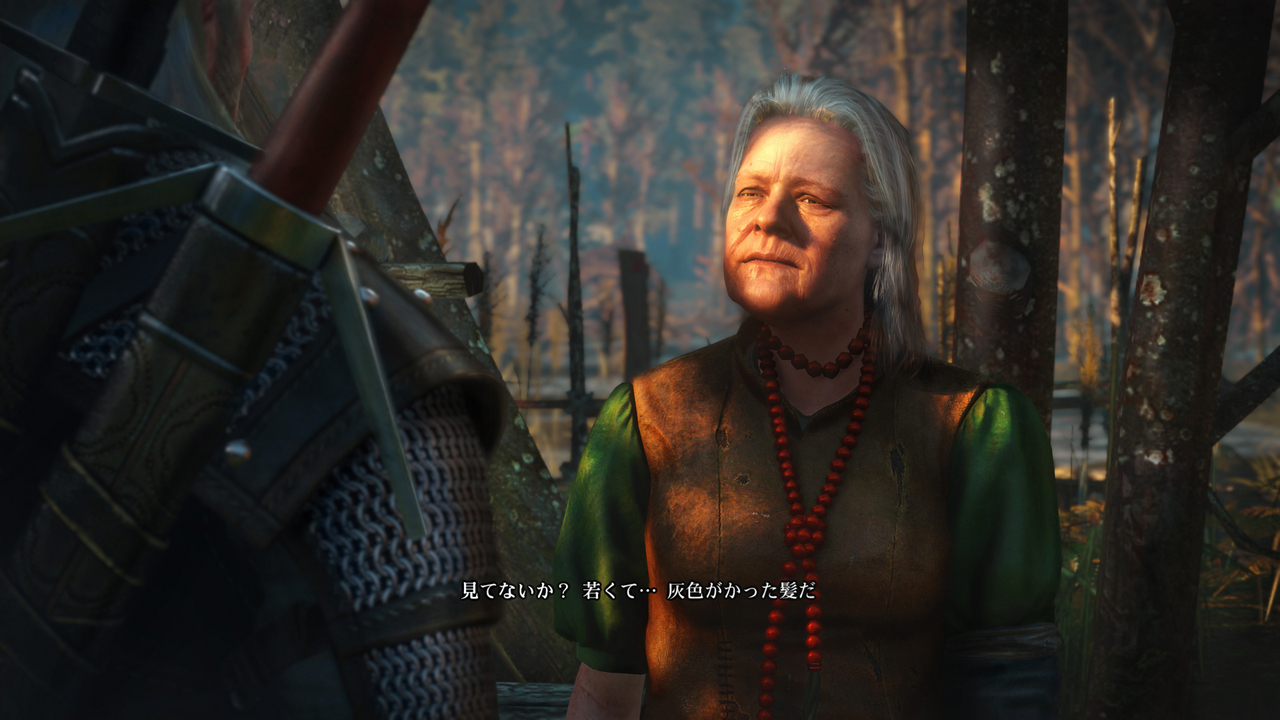 The Witcher 3 : encore des images