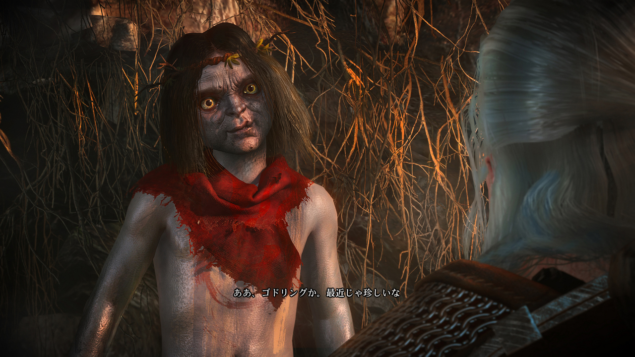 The Witcher 3 : encore des images