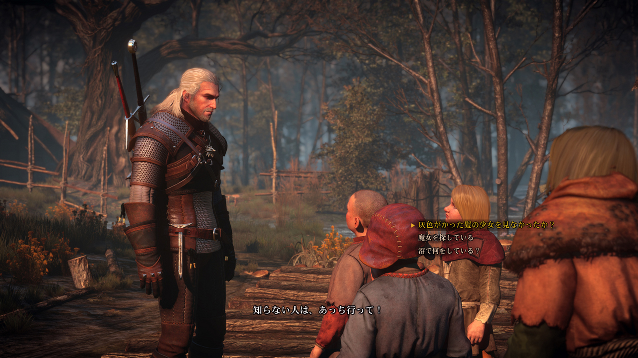 The Witcher 3 : encore des images