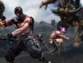 Screens Ninja Gaiden 3 : Razor's Edge (PS360)