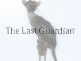 Screens The Last Guardian