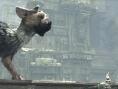 Screens The Last Guardian