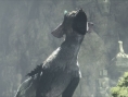 The Last Guardian : nouvelles images