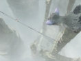 The Last Guardian s'offre cinq images
