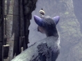 The Last Guardian : nouvelle présentation et images