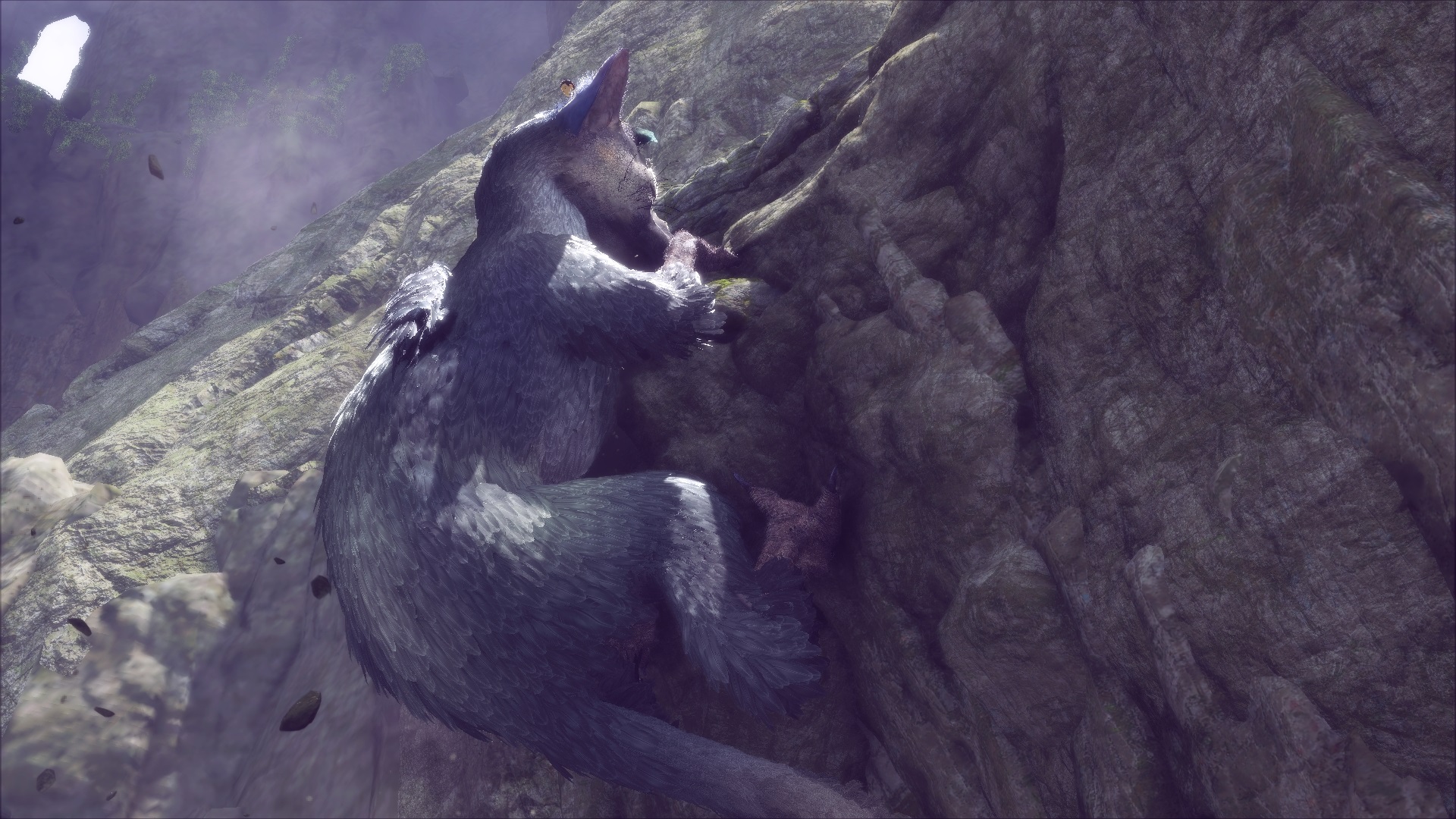 The Last Guardian : nouvelle présentation et images