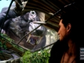Final Fantasy XV : 30 minutes de gameplay