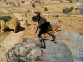 Final Fantasy XV : nouvelles images