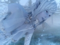 Final Fantasy XV : nouvelles images