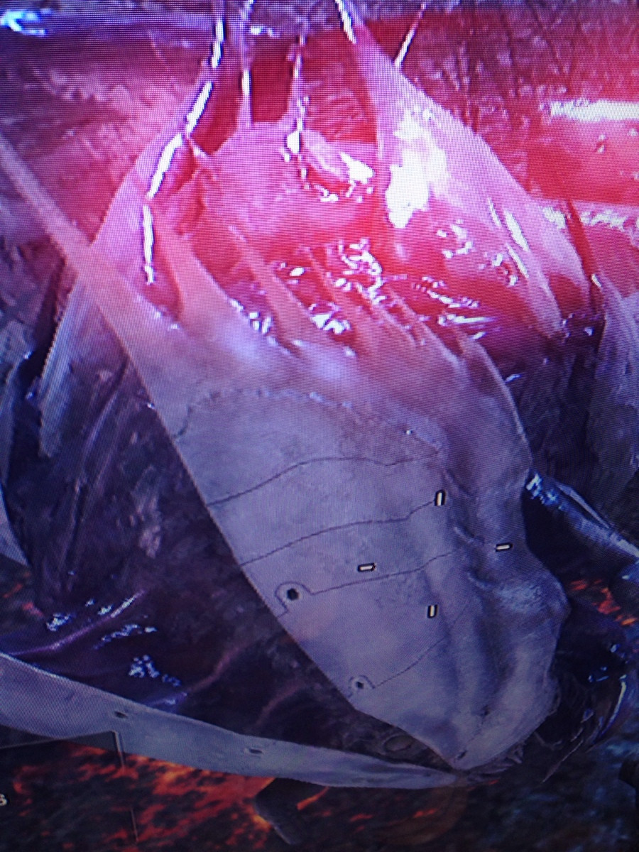 Le mode Extinction (Aliens) de Call of Duty : Ghosts