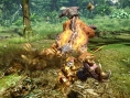 Monster Hunter Online : nouvelle vidéo (gameplay)