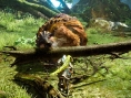 Monster Hunter Online : nouvelle vidéo (gameplay)
