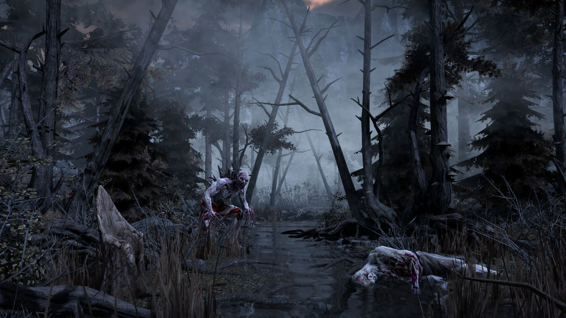 Video Hellraid