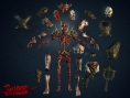 Shadow Warrior : date et images consoles