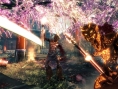 Shadow Warrior sera un peu en retard