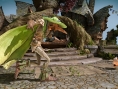 Fable Legends : Leech se présente