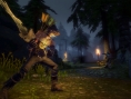 Fable Anniversary : encore un peu de gameplay